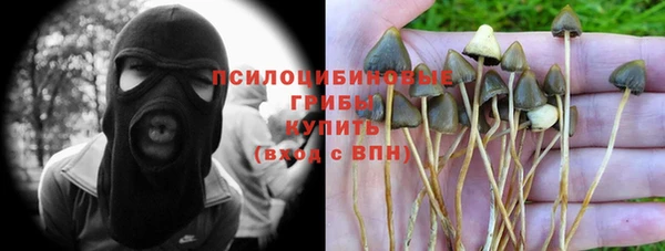 дмт Алексин